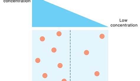 lv lower|low levels meaning.